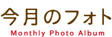 �����̃t�H�g