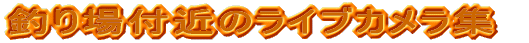 �ނ��t�߂̃��C�u�J�����W
