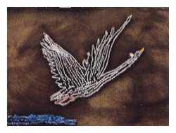 wZl