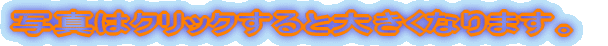 ʐ^̓NbNƑ傫Ȃ܂B