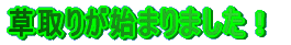 �g�b�v