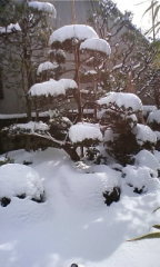 �t���[��