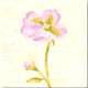 No.264@t[isNj