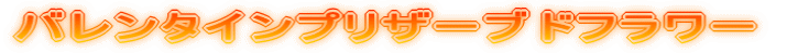 �o�����^�C���v���U�[�u�h�t�����[