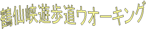 �ߐ勬�V�����E�I�[�L���O