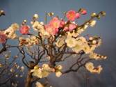 IMG_0063-1