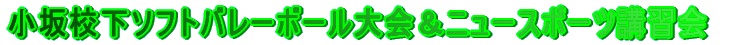 ����Z���\�t�g�o���[�{�[�����j���[�X�|�[�c�u�K��