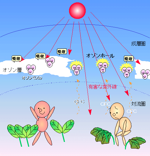 対策 オゾン 層 破壊