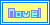 Novel